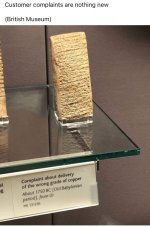 IMG_6271.jpeg