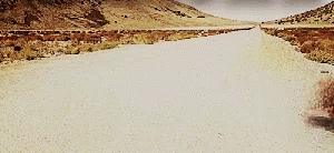 1000005929.gif 1000005929.gif