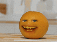 1779833545852.gif