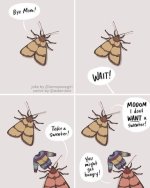 IMG_6301.jpeg