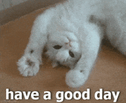 200w.gif