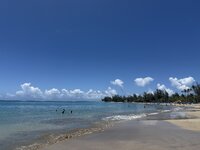 IMG_6749.jpeg