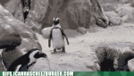 pushy-penguin.gif