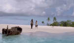 AdvancedRawAmericancurl-size_restricted.gif AdvancedRawAmericancurl-size_restricted.gif
