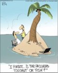 6fe55dd1b95451c8ec77cfd9e3cbf045--desert-island-funny-cartoons.jpg