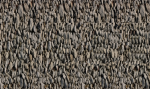 stereogram (4).png