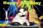 Happy Birthday Cat Rave.gif