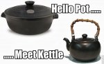 1461638766-pot-and-kettke.jpg