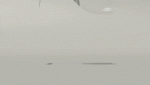 A7C0D8D3-28CF-4CE9-834C-3710661054D9.gif