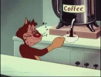 coffee cat.gif