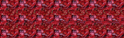 stereogram (1).png