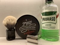 sotd:bru:soa:ash.jpg