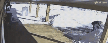 snow-win-fail.gif