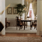 275B3685-5D81-4D85-8FD8-0B1411317B6D.gif