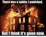 spider burn down house.jpg