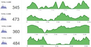 local run elevation profiles.jpg