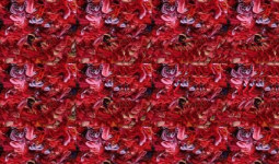 stereogram_1.png