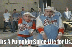 slower pumpkin life.gif