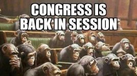 monkey congress1.jpg