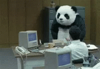 angry-angry-panda.gif