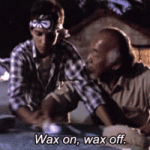 Wax on wax off.gif