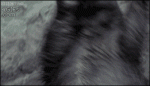 FA0B5084-FD2D-4F40-BA6A-6615F1E301FC.gif