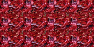 stereogram 1.png