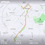 strava5323707574329619130.jpg