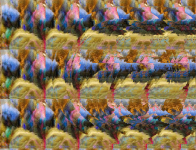 stereogram (2).png