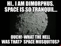 dimorphus.jpg