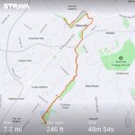 strava6232817502032257910.jpg