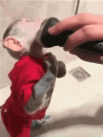 monkey-shaving.gif