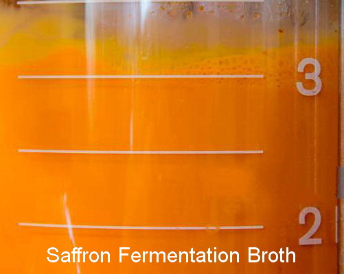 Rouge Diffuser Oil, Niche Scent, Ambroxan Molecule-Based Formula, Saffron, Jasmine, Cedarwood Essential Oils Blend for Ultrasonic Diffuser Scent
