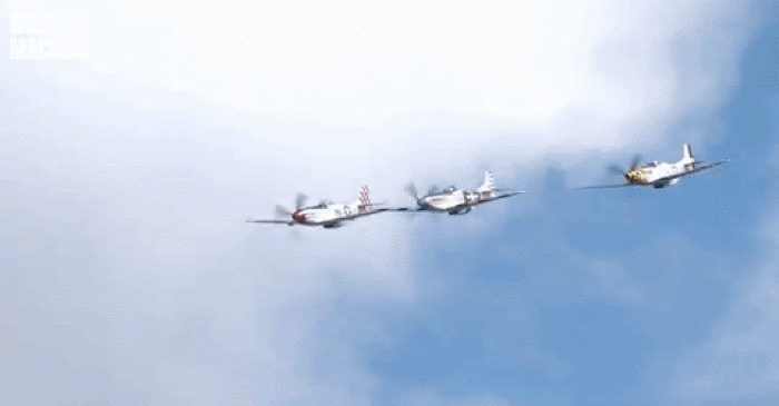 p-51-mustang-military-machine-aircraft.gif