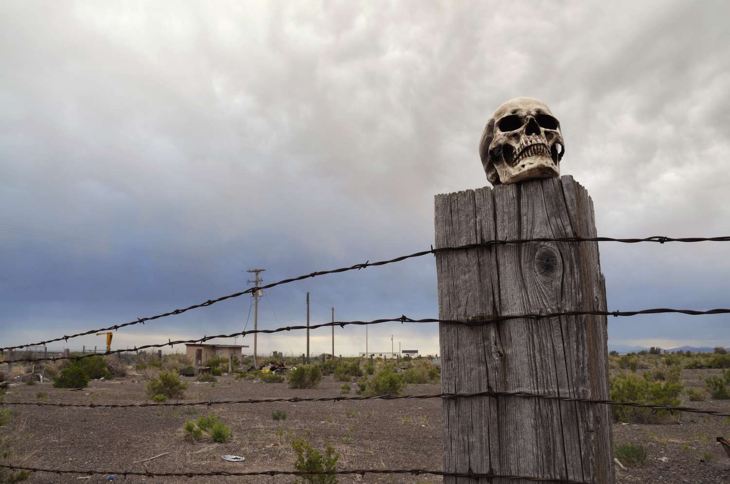 horizontal-color-photograph-of-skull-on-barbed-wire-fence-post-136382315-5c00636e46e0fb000162e5b1.jpg