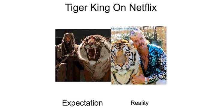 tiger-king-expectation-vs-reality.jpg