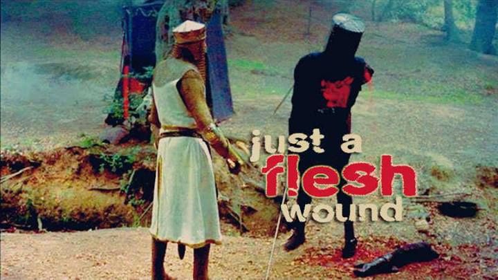 Just A Flesh Wound | Monty python, Good movies, Favorite movies