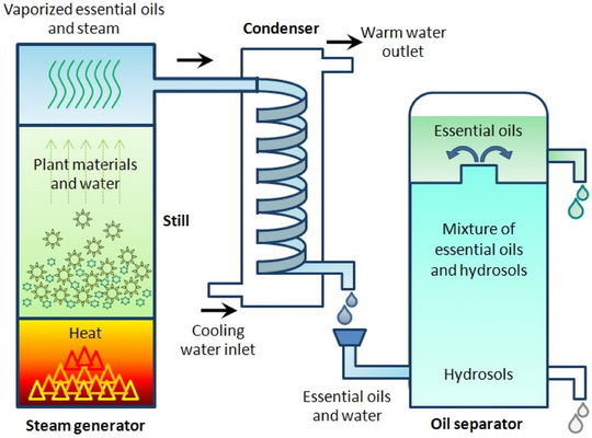 oQU8HPi.jpg